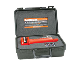 Voltage Detectors & Meters